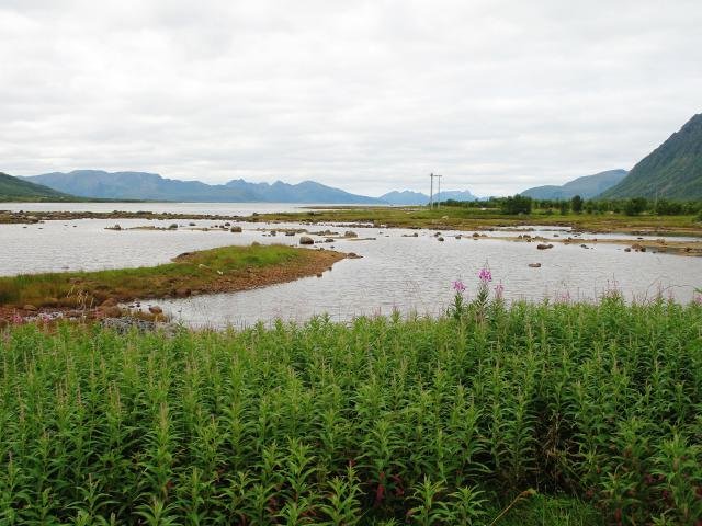 Urlaub in Norwegen 2006